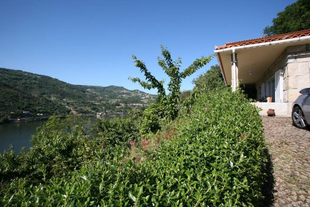 Covelas  Douro Valley - Casa Do Campo Resende מראה חיצוני תמונה